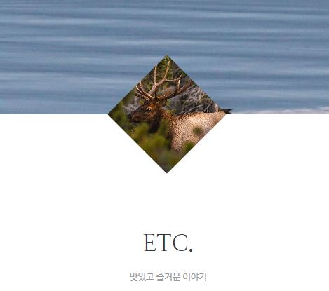 태상의 미니샵 바로가기: 타운하우스 라이프 정보의 완벽 가이드